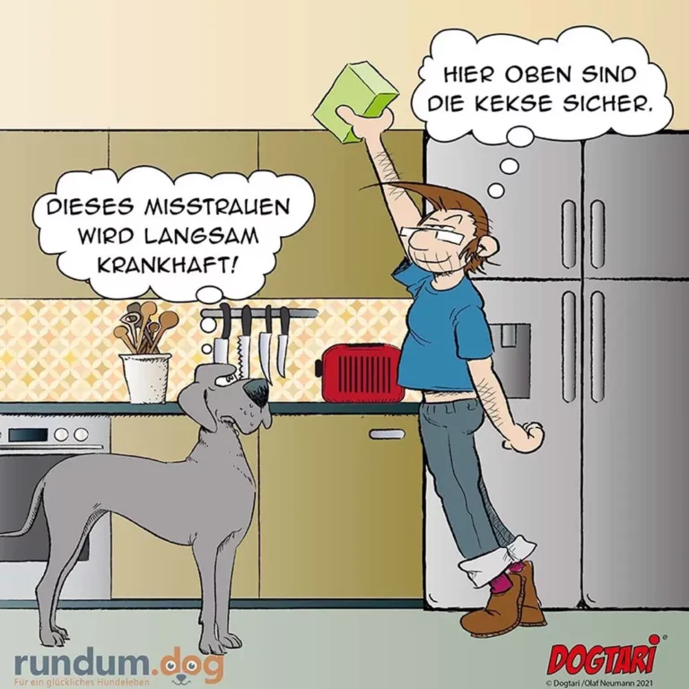 Halter steht in Küche auf Stuhl und hält Keksdose hoch, Hund schaut von unten hinauf, beide sprechen in Gedankenblasen
