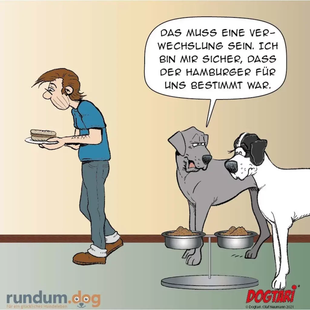 Halter hält Hamburger in der Hand, zwei Hunde sitzen vor ihren Napfschüsseln. Ein Hund schaut den Halter an und sagt, das müsse eine Verwechslung sein, der Hamburger sei für sie bestimmt.