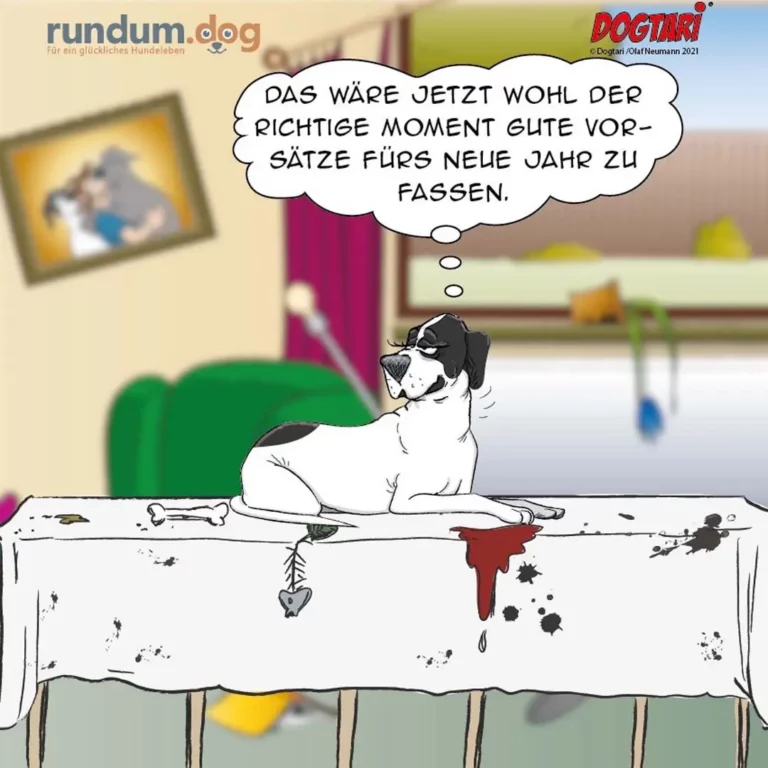 Schwarz-weisser Hund liegt auf weissem Sofa mit Flecken und Schmutz, denkt nachdenklich in Sprechblase