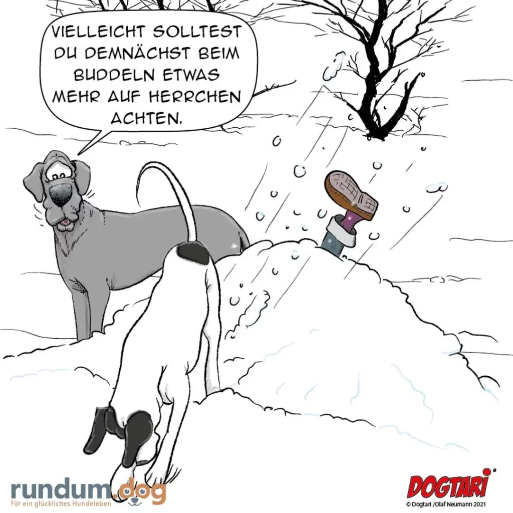 Weisser Hund mit Schneeballwurf-Bewegung in verschneiter Landschaft, grauer Hund mit Sprechblase im Hintergrund