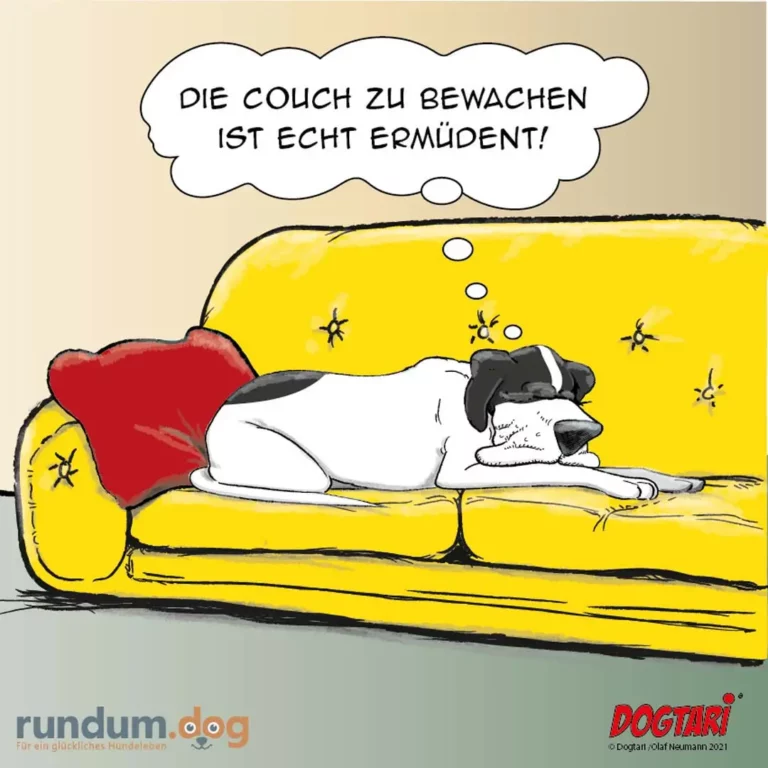 Hund mit Umhang liegt auf gelber Couch, schaut gelangweilt, während er sagt: Die Couch zu bewachen ist echt ermüdend
