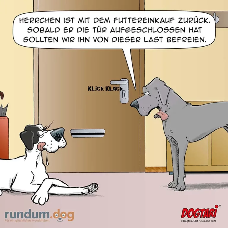 Kleiner weiss-schwarzer Hund sitzt vor einer Tür und schaut auf einen grossen grauen Hund, der die Tür gerade öffnet. Text an der Tür: Klick Klack.