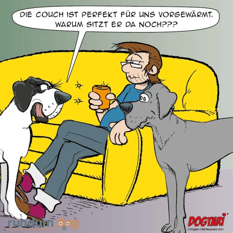 Mann sitzt auf gelber Couch mit Bier, zwei Hunde drängen sich an ihn, einer leckt sein Gesicht, der andere schaut ungeduldig zu