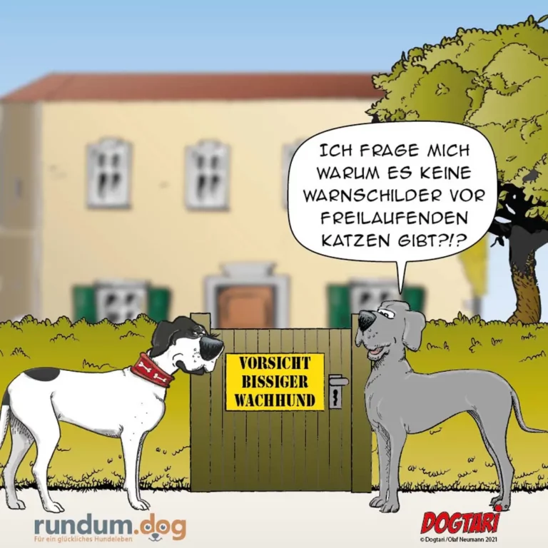 Zwei Hunde vor einem Gartentor mit Schild «Vorsicht bissiger Wachhund». Der eine fragt den anderen nach Warnschildern vor freilaufenden Katzen.