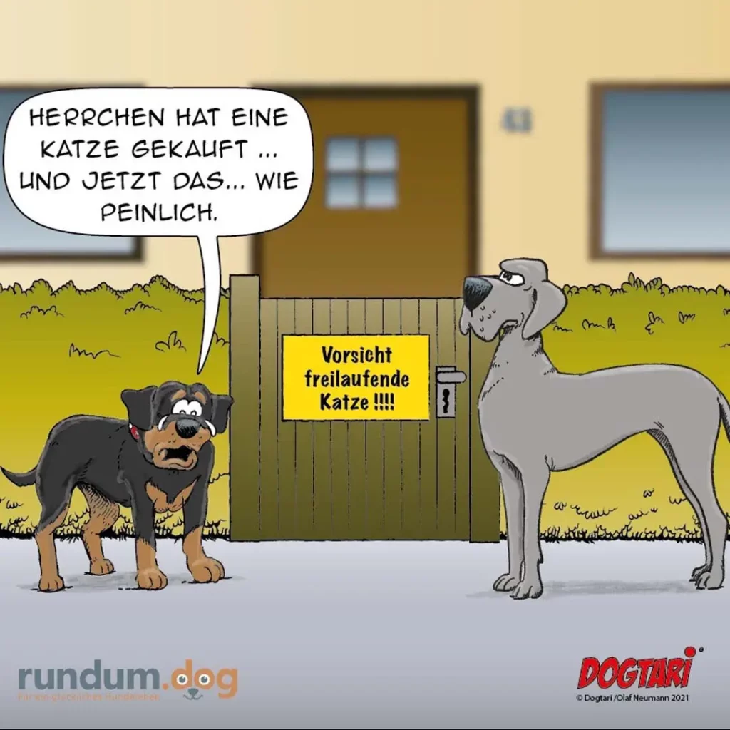 Zwei Hunde vor Gartenzaun mit Warnschild: schwarzer Hund spricht zu grauem Hund, der nach oben schaut