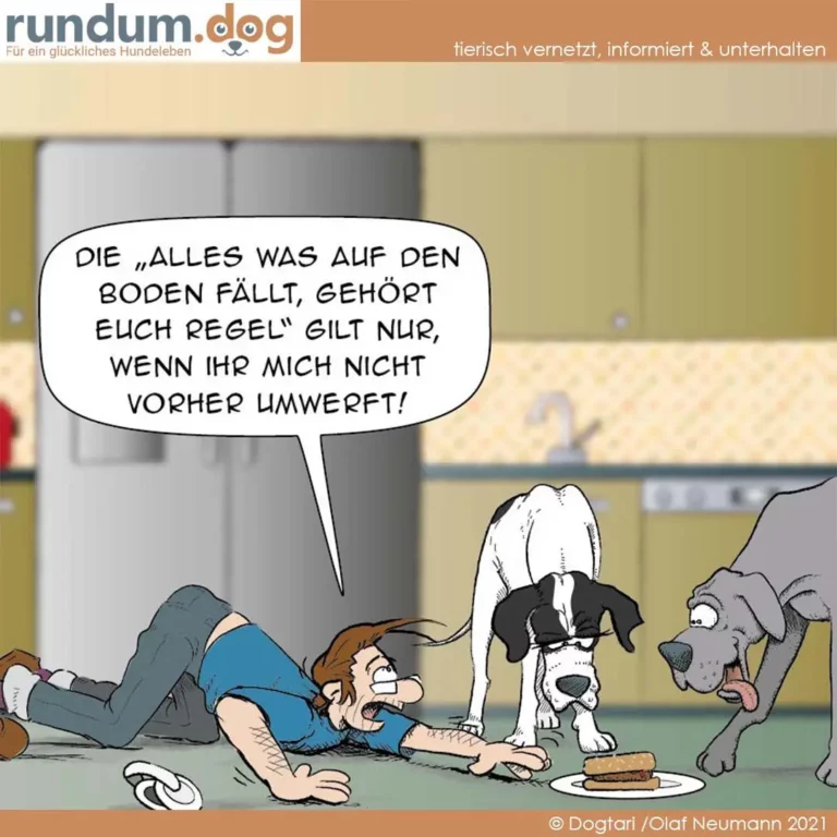 Mann liegt auf dem Boden, drei Hunde umringen ihn, einer nimmt ihm ein Stück Futter vom Teller weg