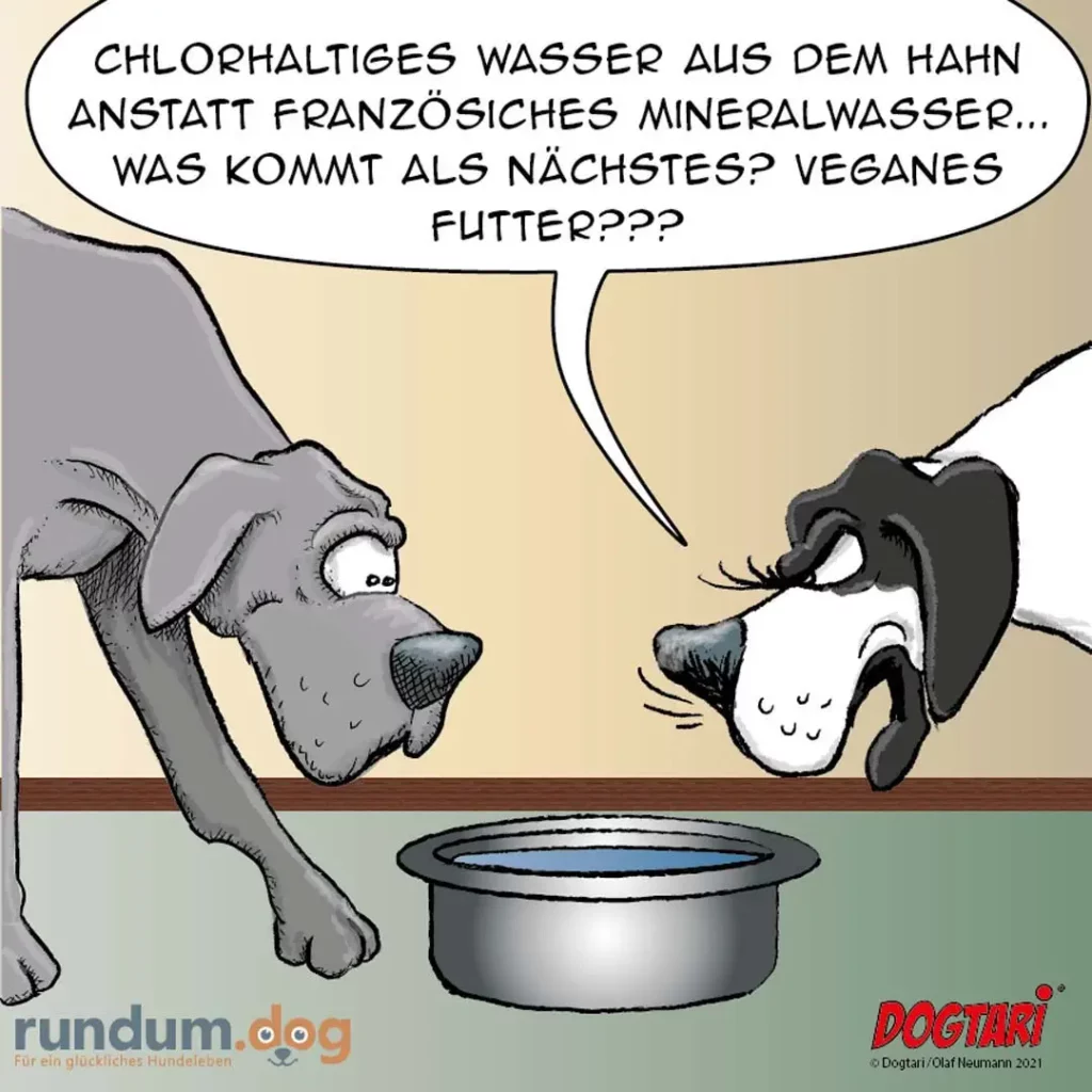 Zwei Hunde unterhalten sich über einen Napf mit Wasser. Der linke Hund schaut überrascht, der rechte antwortet selbstbewusst.