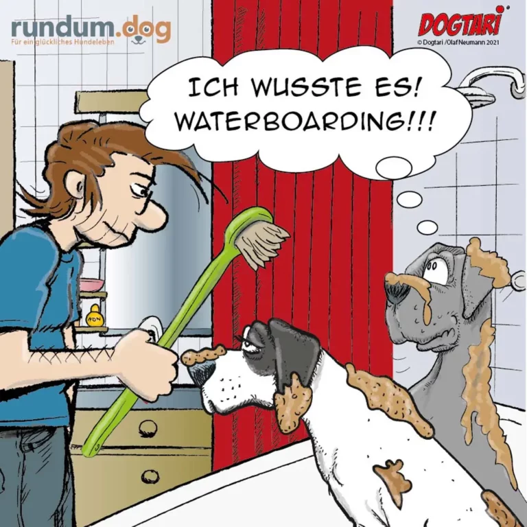 Hund springt begeistert an Gartenschlauch hoch, während Halter verwirrt zuschaut; grauer Hund im Hintergrund nass und mit Schlamm bedeckt