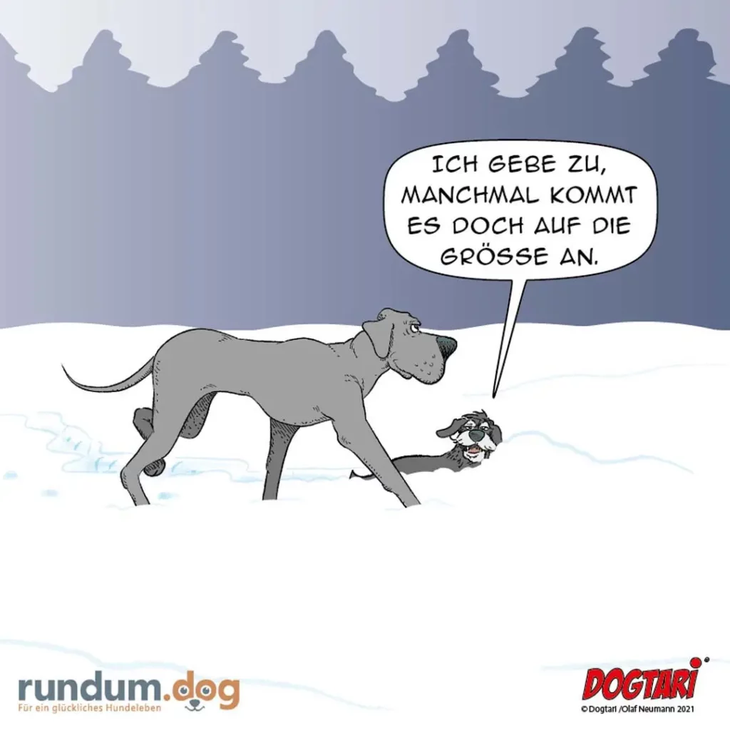 Grosser Hund im Schnee sagt zu kleinerem Hund: "Ich gebe zu, manchmal kommt es doch auf die Grösse an."