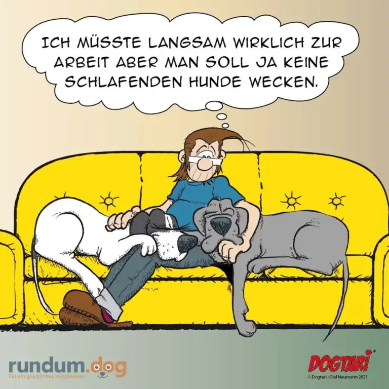 Person sitzt auf gelbem Sofa zwischen zwei schlafenden Hunden und denkt nachdenklich: «Ich müsste langsam wirklich zur Arbeit, aber man soll ja keine schlafenden Hunde wecken»