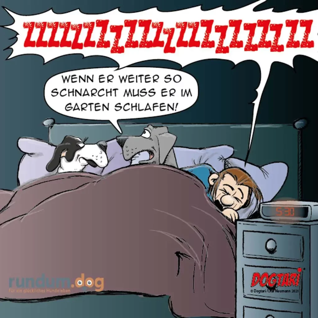 Mann im Bett schnarcht laut, zwei Hunde liegen neben ihm. Ein Hund sagt: Wenn er weiter so schnarcht muss er im Garten schlafen!
