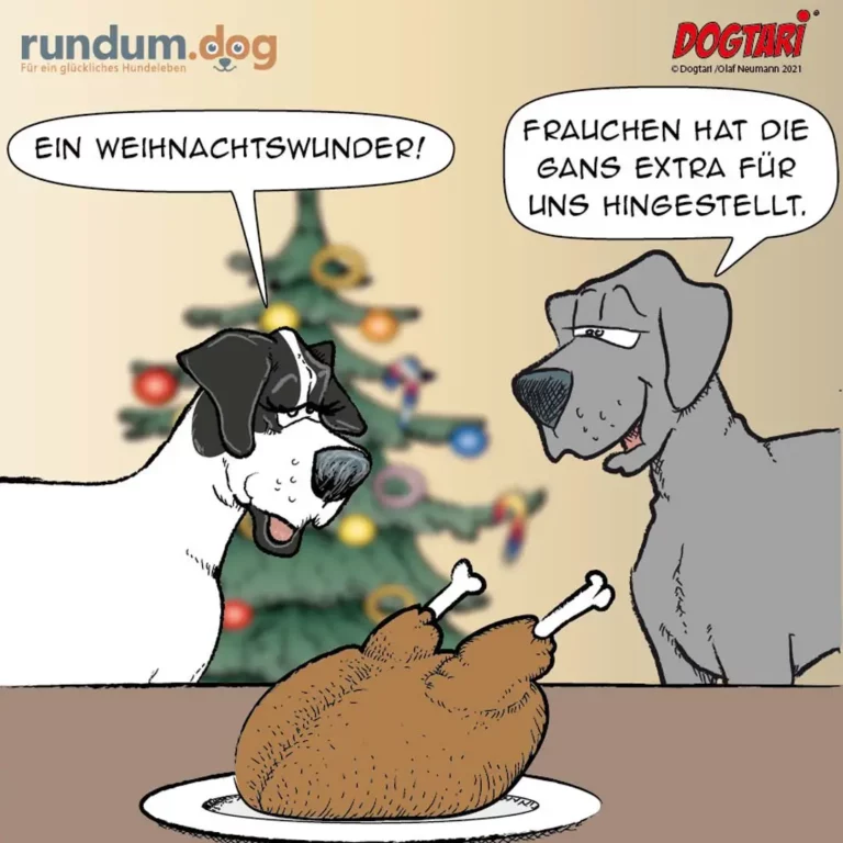 Zwei Hunde vor Weihnachtsbaum: schwarzweisser Hund freut sich über Weihnachtswunder, grauer Hund zeigt auf Hundekuchen mit Knochen und sagt, Frauchen habe die Gans extra hingestellt
