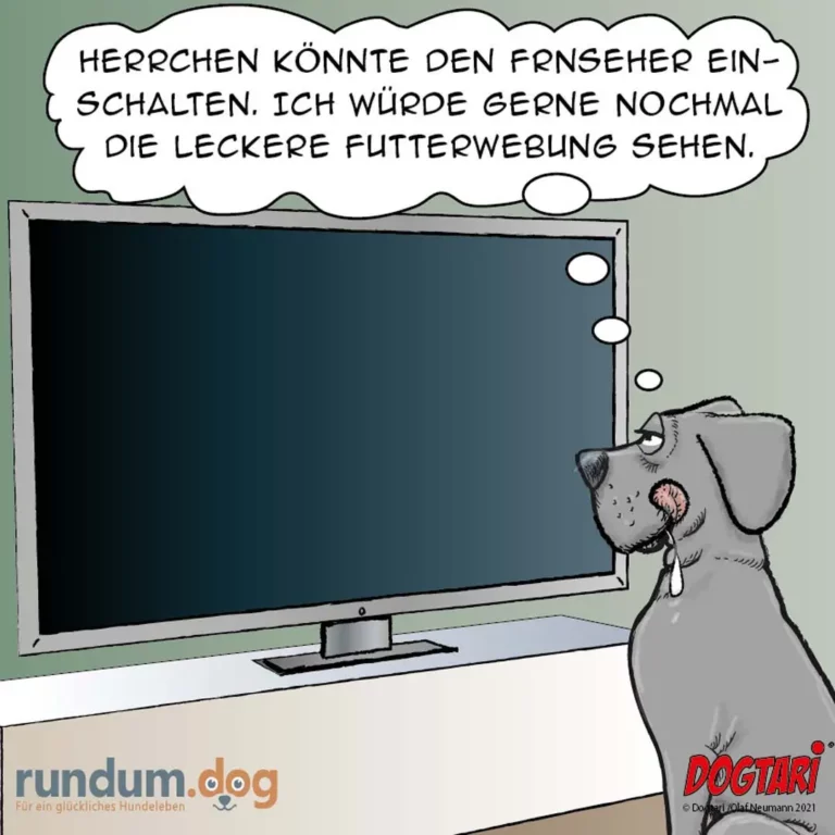 Hund sitzt vor ausgeschaltetem Fernseher und denkt nach, Sprechblase mit Text darüber