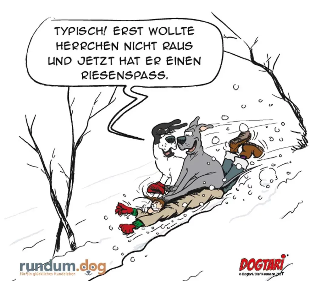 Halter mit zwei Hunden rodeln einen verschneiten Hang hinab, einer der Hunde spricht einen Kommentar