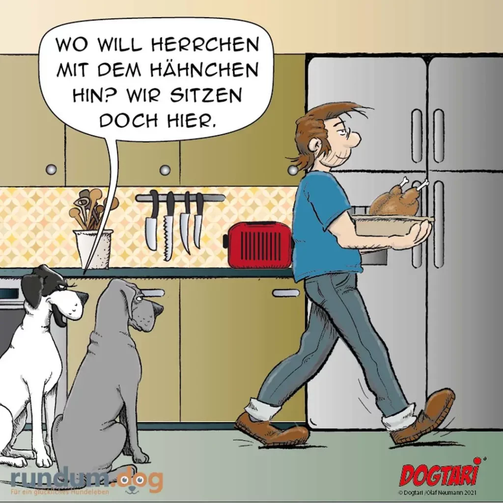 Mann trägt Braten in der Küche, zwei Hunde sitzen am Boden und schauen nach oben, einer fragt: wo will Herrchen mit dem Hähnchen hin