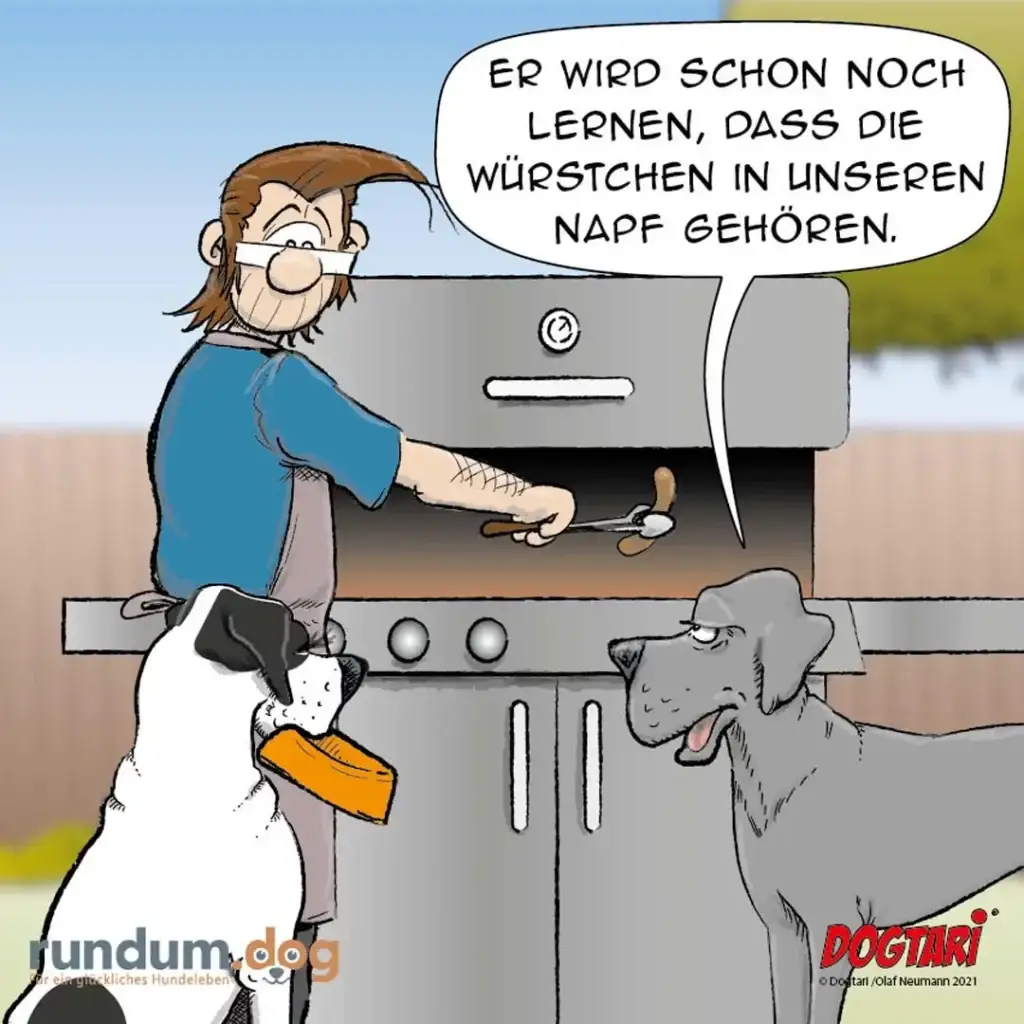 Mann am Grill sagt zu zwei Hunden: Er wird noch lernen, dass die Würstchen in unseren Napf gehören. Weisser Hund mit Napf, grauer Hund schaut erwartungsvoll.