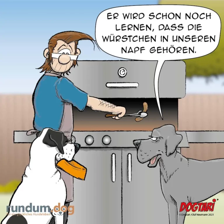 Mann am Grill sagt zu zwei Hunden: Er wird noch lernen, dass die Würstchen in unseren Napf gehören. Weisser Hund mit Napf, grauer Hund schaut erwartungsvoll.