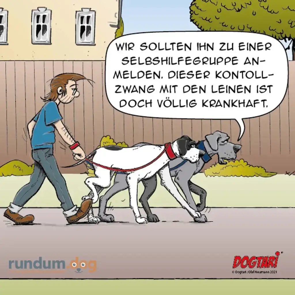 Frau mit zwei Hunden an der Leine, einer zieht nach links, einer nach rechts. Frau schaut gestresst.