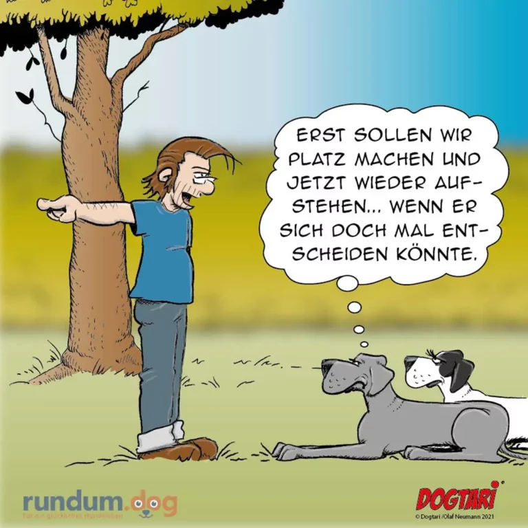 Mann lehnt an Baum und denkt, zwei Hunde liegen davor und hören zu