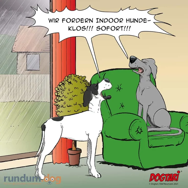 Weisser Hund fordert laut bellend einen grauen Hund auf einem grünen Sofa auf: «Wir fordern Indoor-Hundeklös! Sofort!»