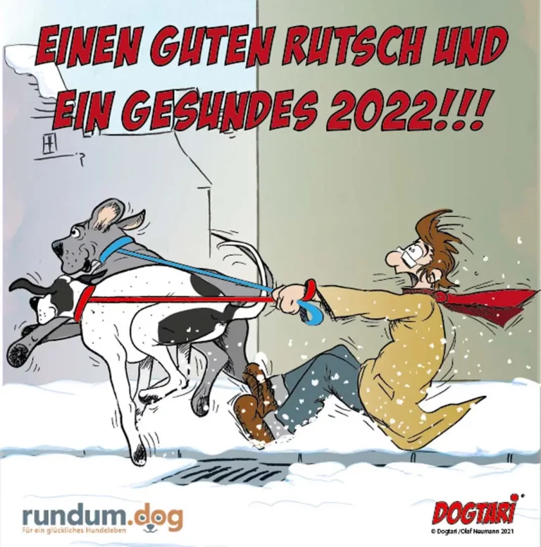 Hund und Halter ziehen im Schnee an entgegengesetzten Enden einer Leine, beide rutschig und in entgegengesetzten Richtungen unterwegs