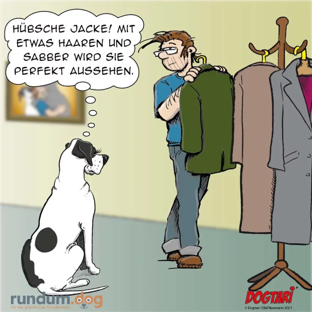 Weiss-schwarzer Hund sitzt vor einer Wäscheleine mit Jacken und schaut zu einem Mann auf, der eine grüne Jacke hält.