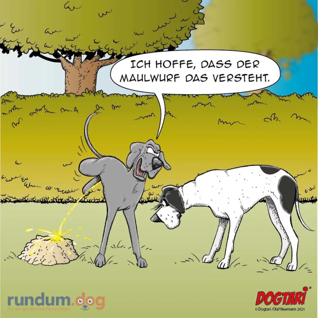 Grauer Hund hebt Bein an Maulwurfshügel, weisser Hund schaut zu. Grauer Hund sagt: Ich hoffe, dass der Maulwurf das versteht.