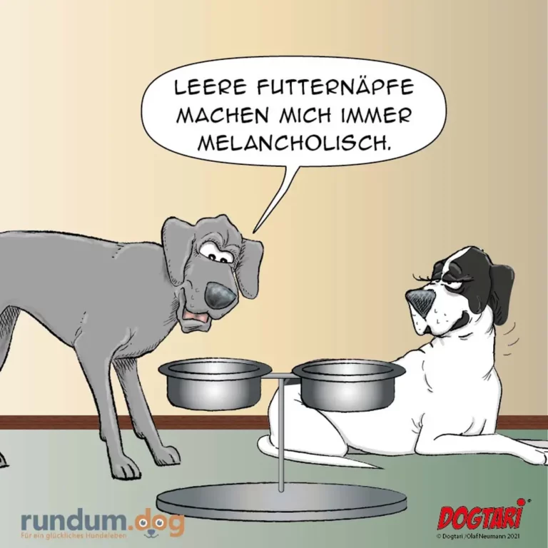 Grauer Hund sitzt vor zwei Näpfen und sagt zu schwarzweissem Hund: Leere Futternäpfe machen mich immer melancholisch.