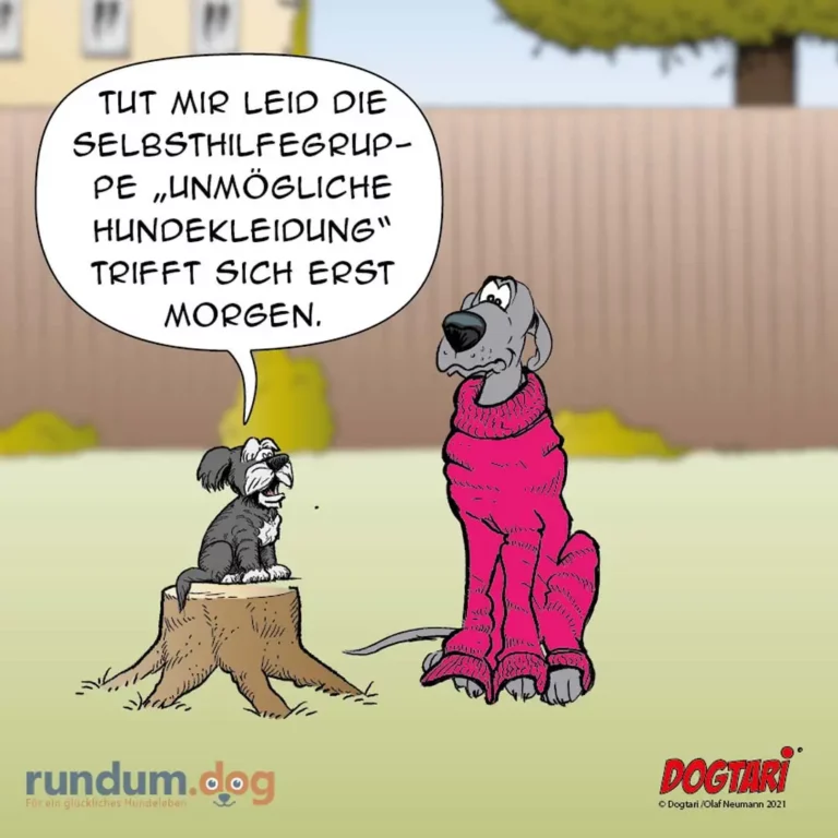 Kleiner Hund auf Baumstumpf blickt auf grossen Hund in pinker Hundekleidung, dieser spricht in Sprechblase