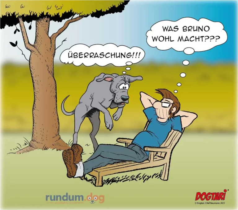 Grauer Hund springt aufgeregt auf einen entspannten Mann zu, der auf einer Bank unter einem Baum sitzt. Der Hund ruft 'Überraschung!!!', der Mann fragt ungläubig 'Was Bruno wohl macht???'