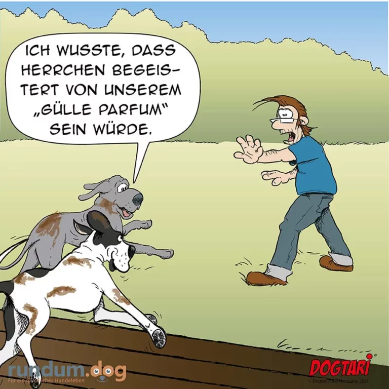 Zwei Hunde springen freudig auf einen Mann zu, dieser hält abwehrend die Hände hoch und sagt etwas über Parfum