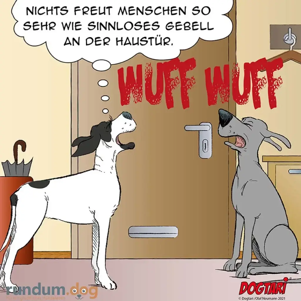 Schwarz-weisser Hund kratzt an Haustür und denkt: «Nichts freut Menschen so sehr wie sinnloses Gebell an der Haustür.» Grauer Hund vor der Tür bellt laut.