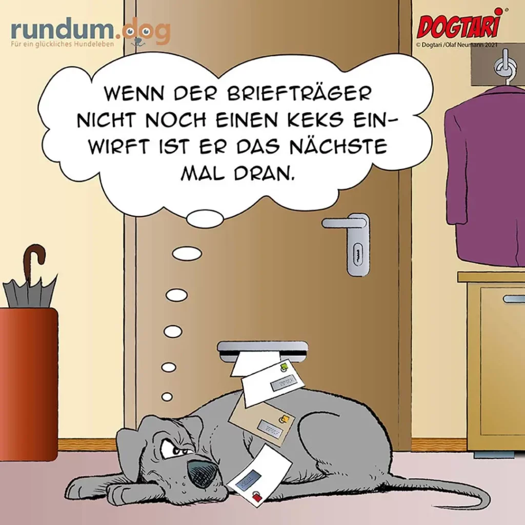 Hund liegt auf dem Boden umgeben von geöffneten Briefen und Paketen, schaut wütend in die Kamera