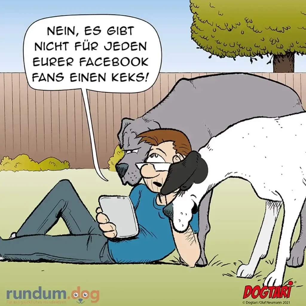 Frau liegt im Garten mit Tablet, grosser weisser Hund lehnt sich an sie und schaut auf den Bildschirm