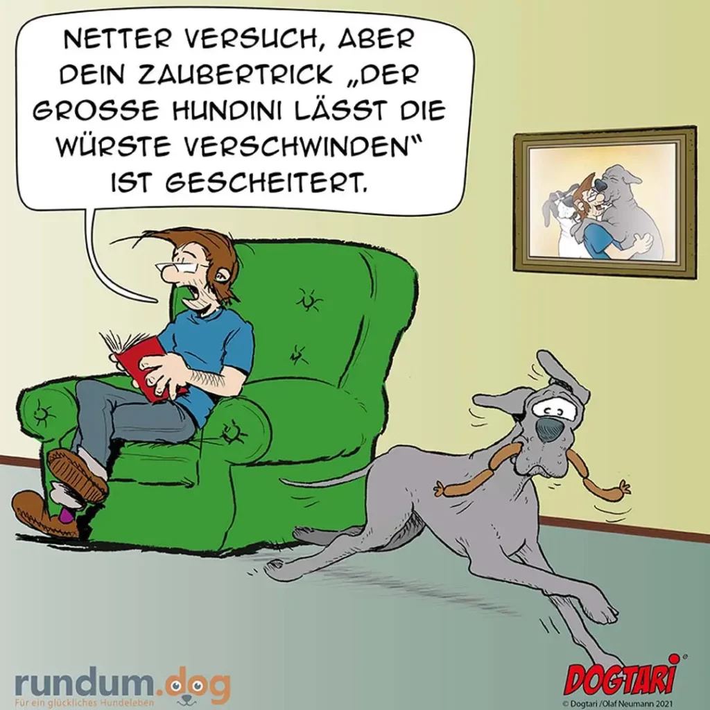 Mann sitzt auf grünem Sessel mit rotem Buch, spricht zu Hund: «Netter Versuch, aber dein Zaubertrick ist gescheitert.» Hund liegt vor ihm auf dem Boden.