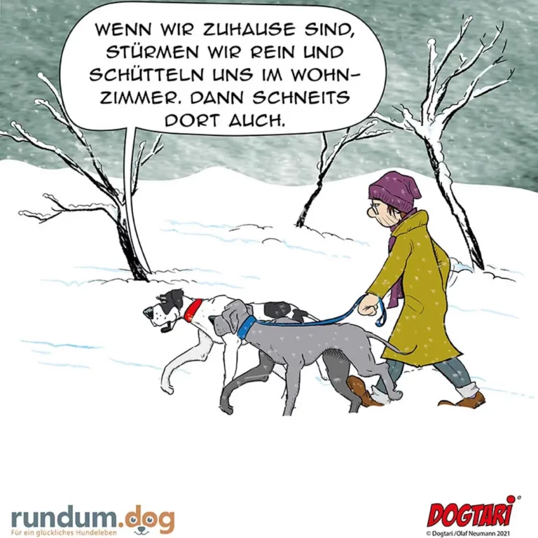 Person im gelben Mantel und violetter Mütze geht mit zwei Hunden spazieren, die sich gegenseitig im Schnee zanken, Sprechblase oben