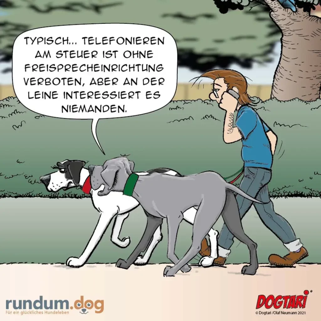Hundehalter telefoniert am Steuer, während zwei Hunde neben ihm spazieren und ignorierten ihn völlig