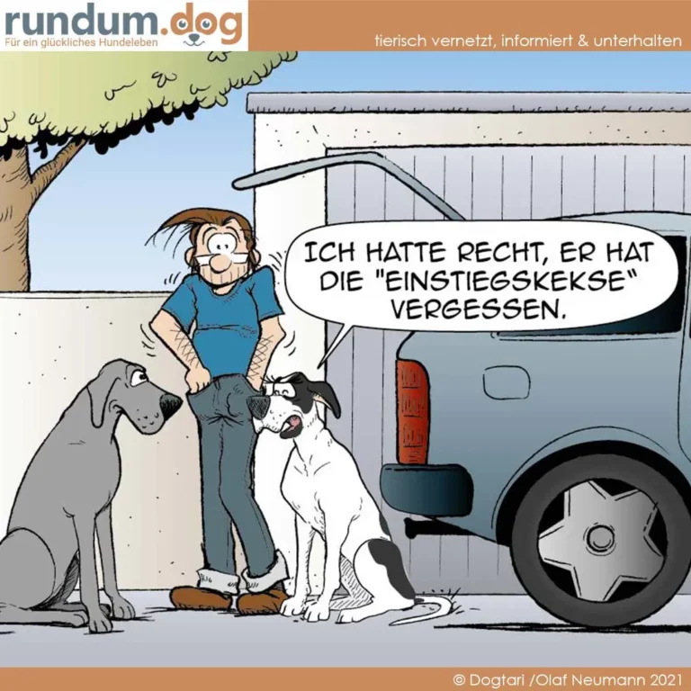 Halter steht zwischen zwei Hunden vor einem Auto und sagt: «Ich hatte recht, er hat die Einstiegskekse vergessen.»