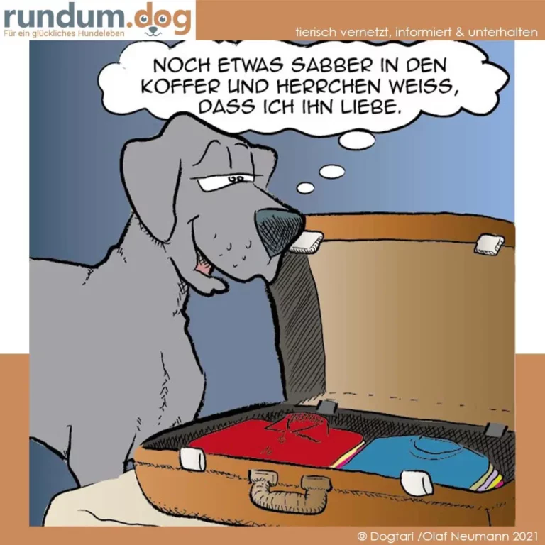Hund steht an offener Reisetasche, spricht im Gedanken: «Noch etwas Saber in den Koffer und Herrchen weiss, dass ich ihn liebe»