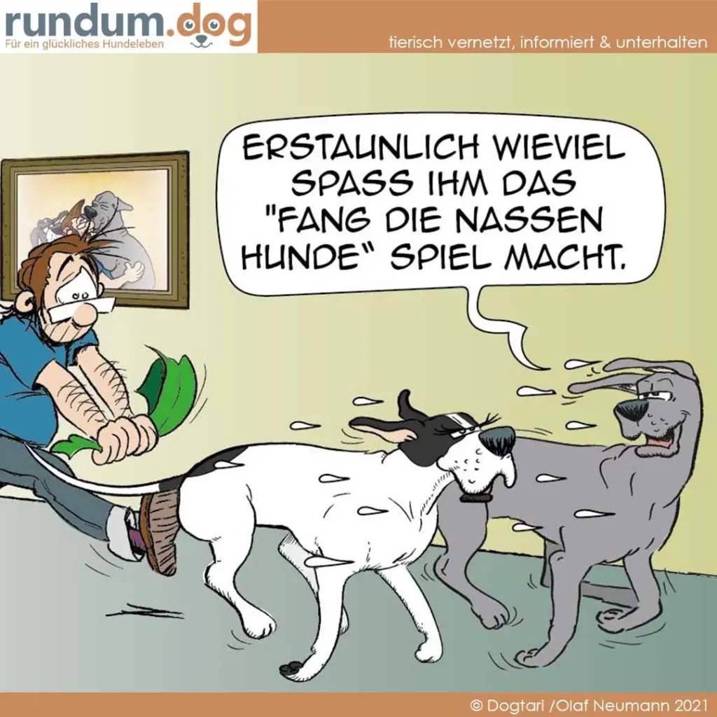 Hundehalter hält Leine eines weissen Hundes, der zu einem grauen Hund läuft. Im Hintergrund ein Bild eines Hundes an der Wand. Sprechblase des Halters.