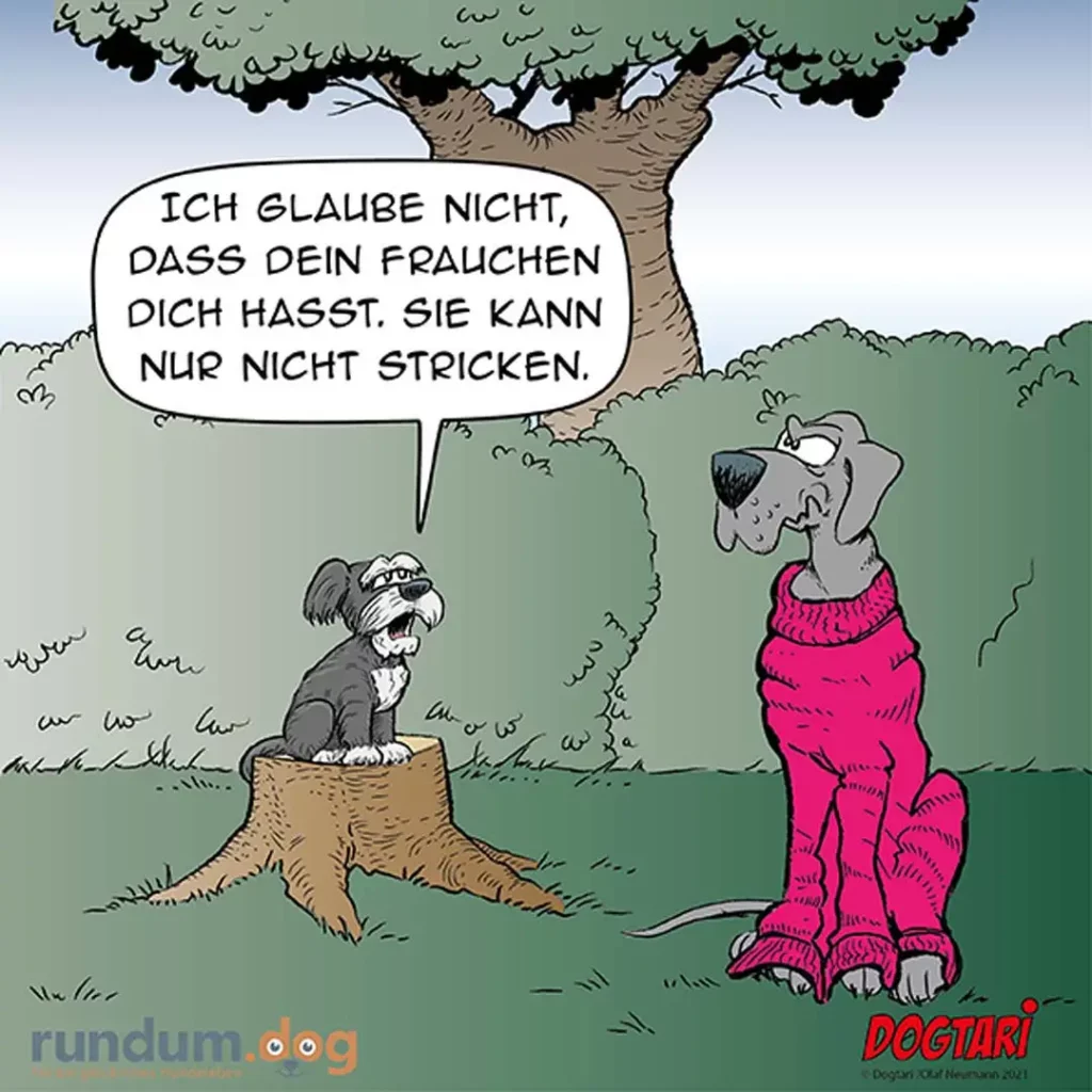 Kleiner Hund auf Baumstumpf spricht zu grossem Hund in pinkem Mantel: «Ich glaube nicht, dass dein Frauchen dich hasst. Sie kann nur nicht stricken.»