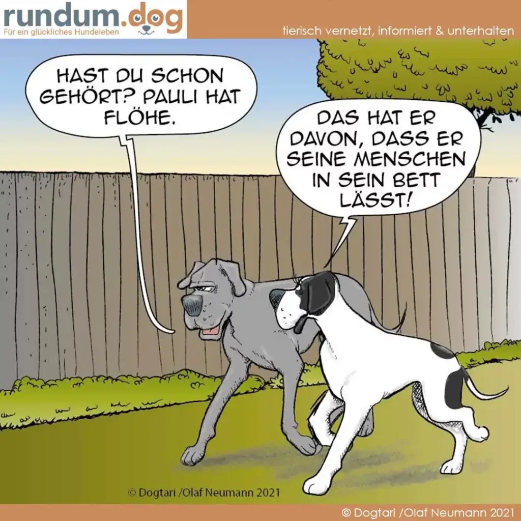 Zwei Hunde im Garten: grauer Hund hält eine Leine im Maul, weisser Hund schaut ihn an. Beide sprechen in Sprechblasen.