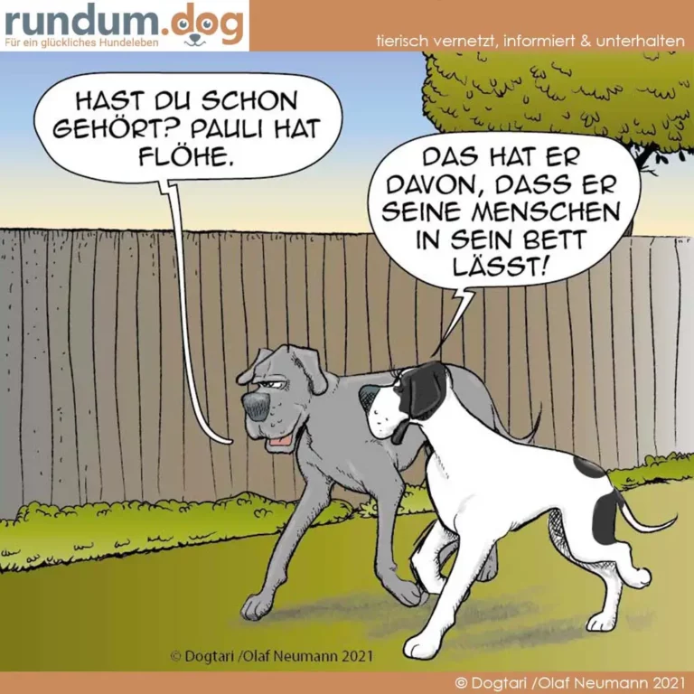 Zwei Hunde im Garten: grauer Hund hält eine Leine im Maul, weisser Hund schaut ihn an. Beide sprechen in Sprechblasen.