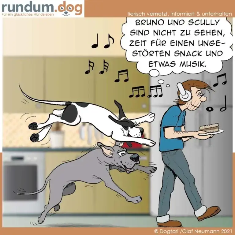 Mann mit Kopfhörern und Tablett mit Snacks steht in der Küche, zwei Hunde springen aufgeregt um ihn herum, Musiknoten schweben in der Luft