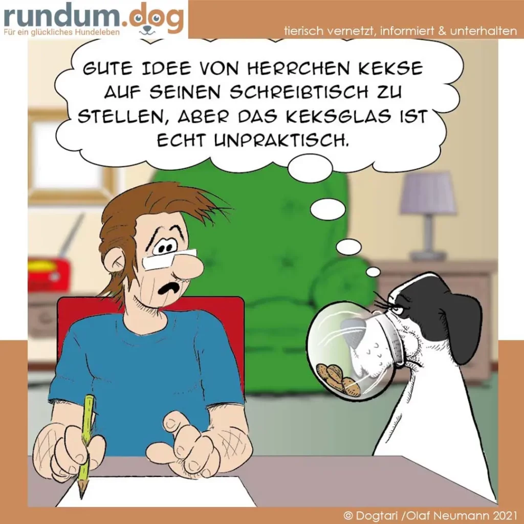 Mann sitzt am Schreibtisch mit Stift, Hund hält sich ein leeres Keksglas vor die Schnauze und schaut ihn an