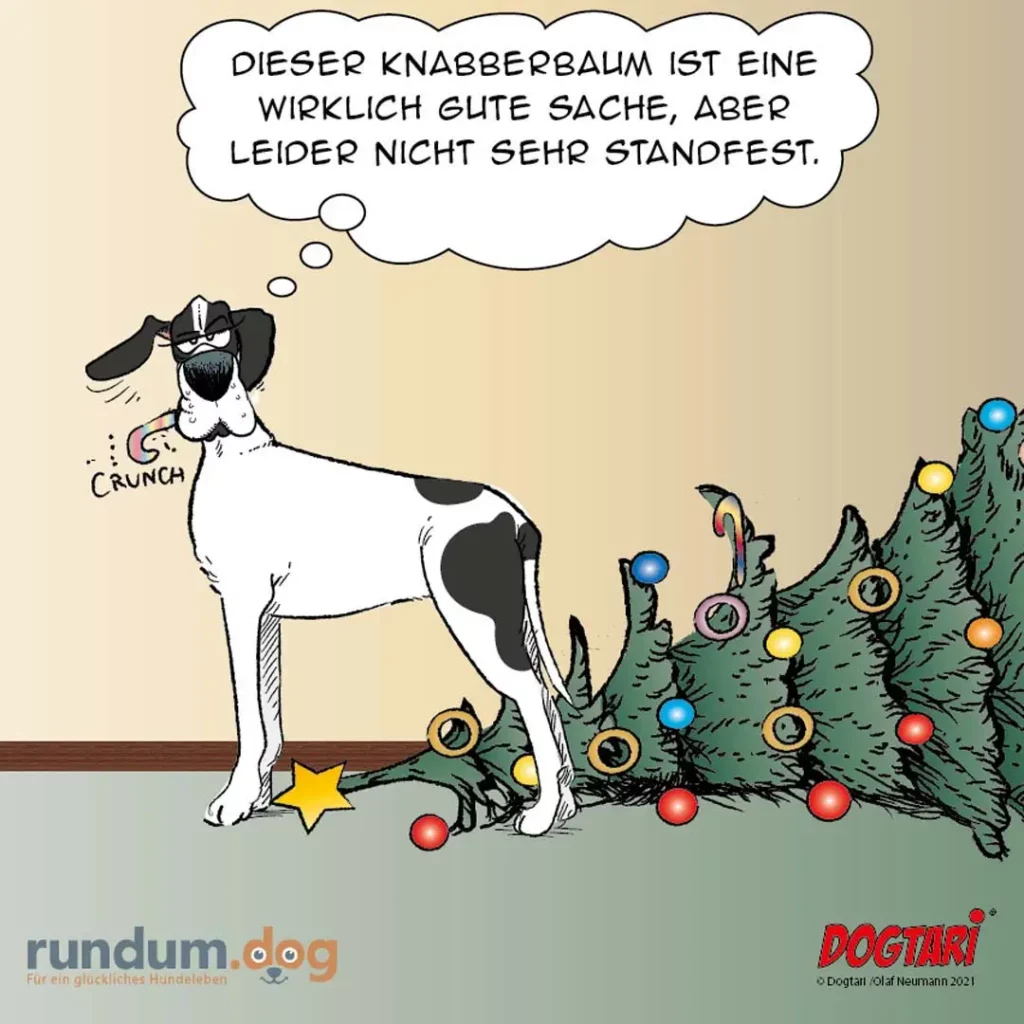 Hund mit Hut kratzt sich am Kopf vor Weihnachtsbaum mit Kugeln, denkt über Knabberbaum nach