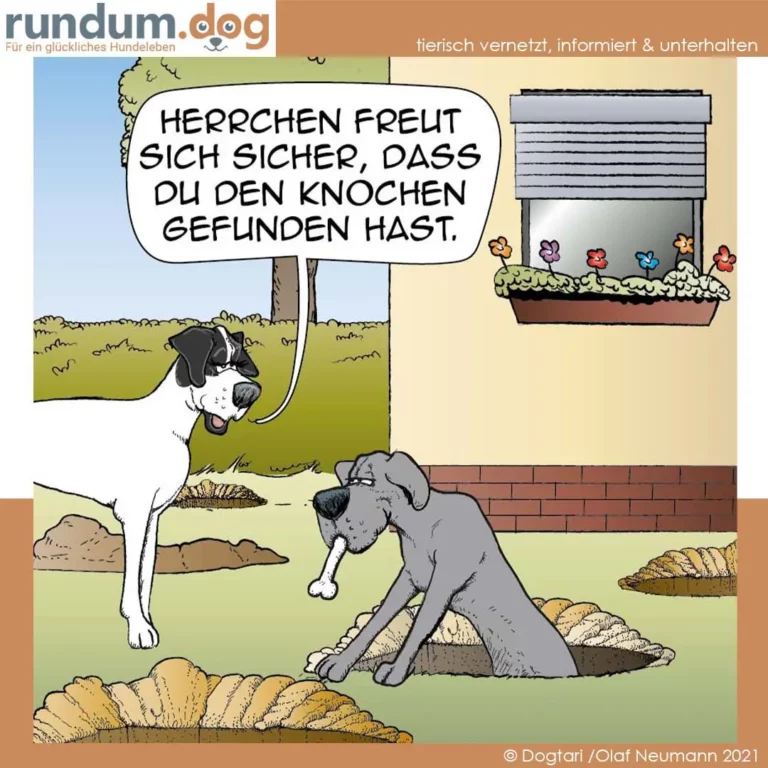 Zwei Hunde graben im Garten: Der eine hält stolz einen Knochen in der Schnauze, der andere buddelt tief in der Erde und sagt zum ersten: 'Herrchen freut sich sicher, dass du den Knochen gefunden hast.'