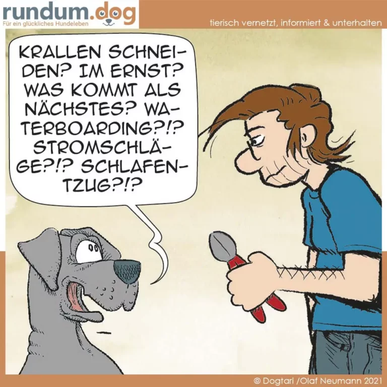 Hund schaut mit offgenem Maul auf eine Halterin, die eine Leine in der Hand hält und eine lange Frage stellt