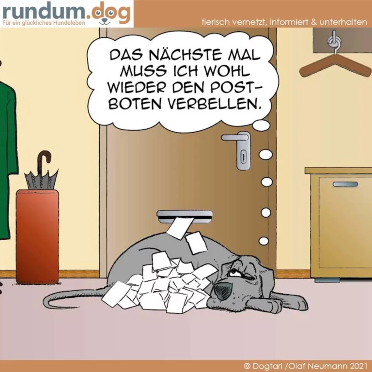 Hund liegt auf Haufen zerrissener Papiere, denkt: Das nächste Mal muss ich wohl wieder den Postboten verbieten