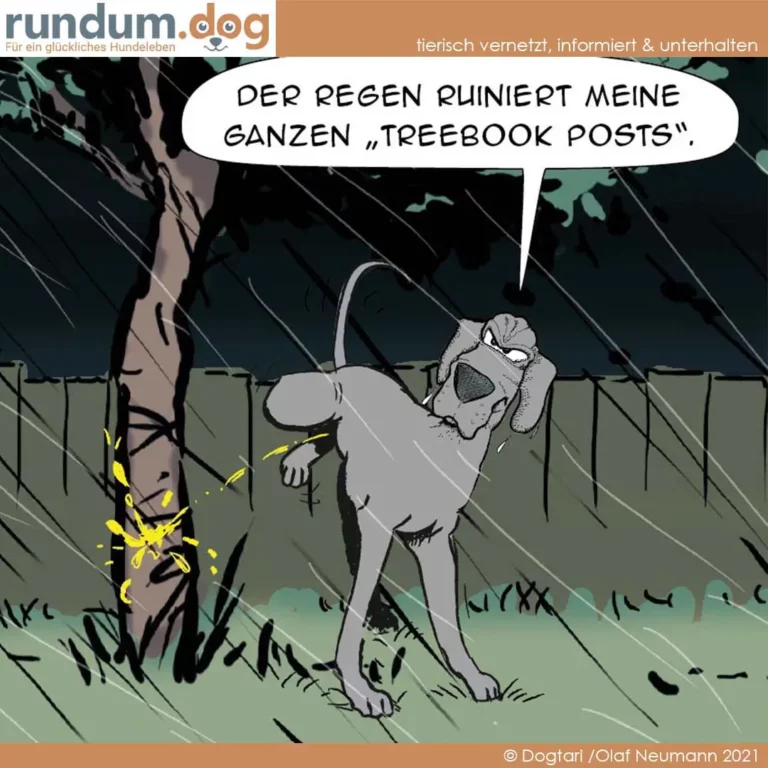 Hund steht im Regen neben einem Baum mit Blitzschlag, spricht in Sprechblase über zerstörte Treebook-Posts